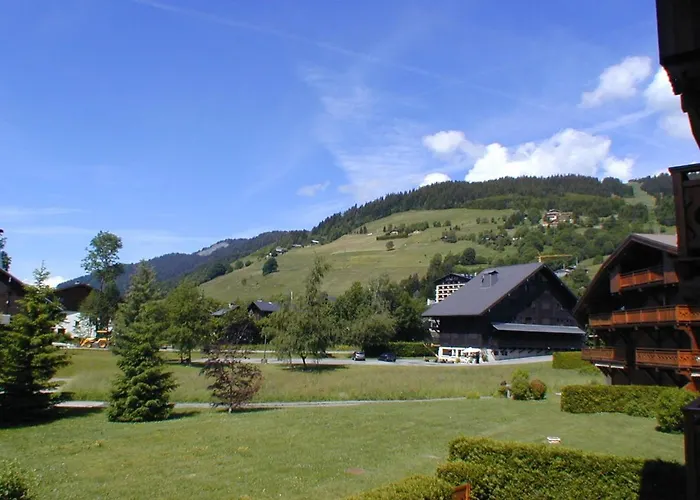 3 Pieces Avec Balcon Et Garage - Fr-1-453-45